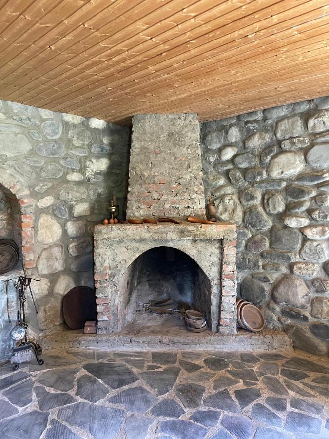 Blue Guest House Samtredia Extérieur photo