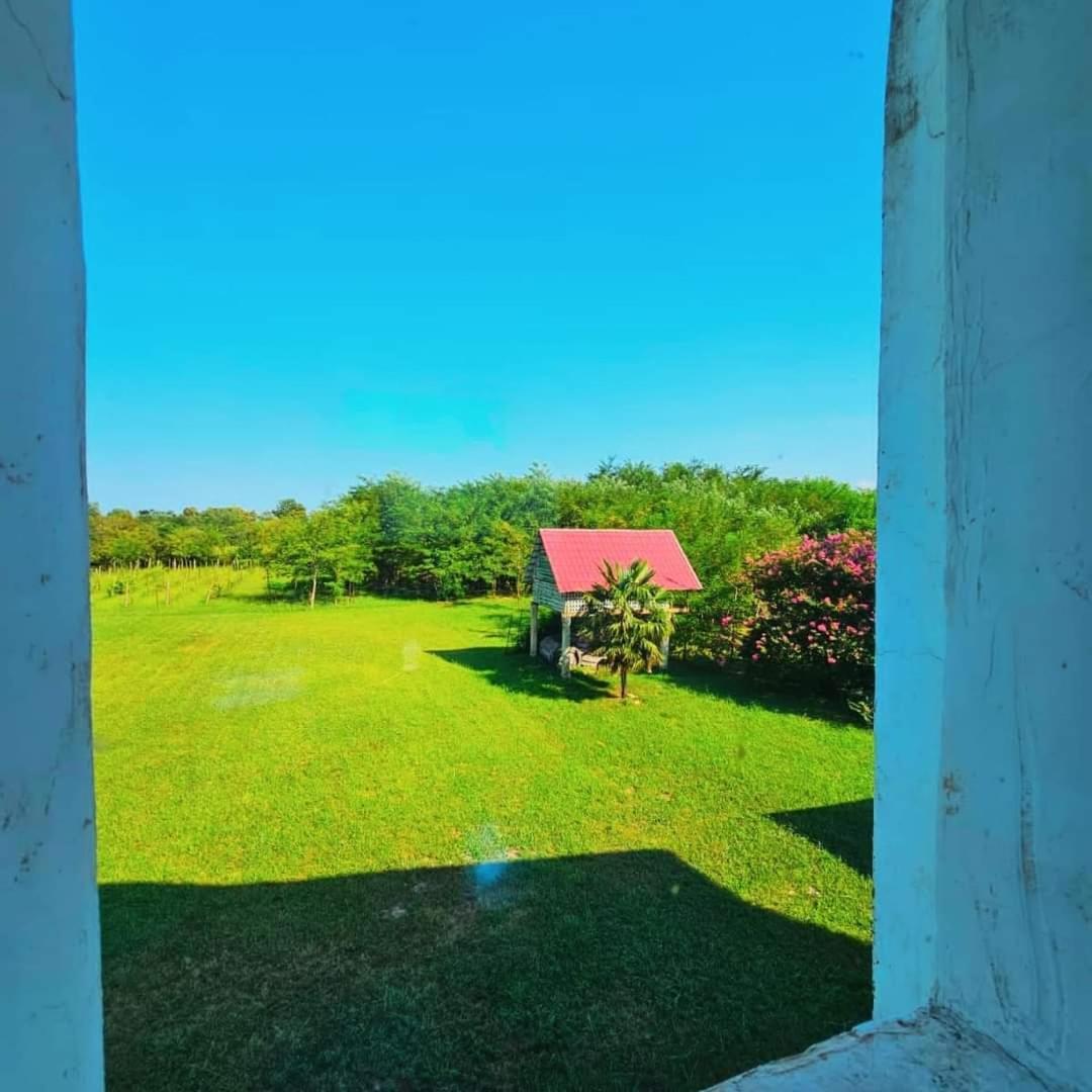 Blue Guest House Samtredia Extérieur photo