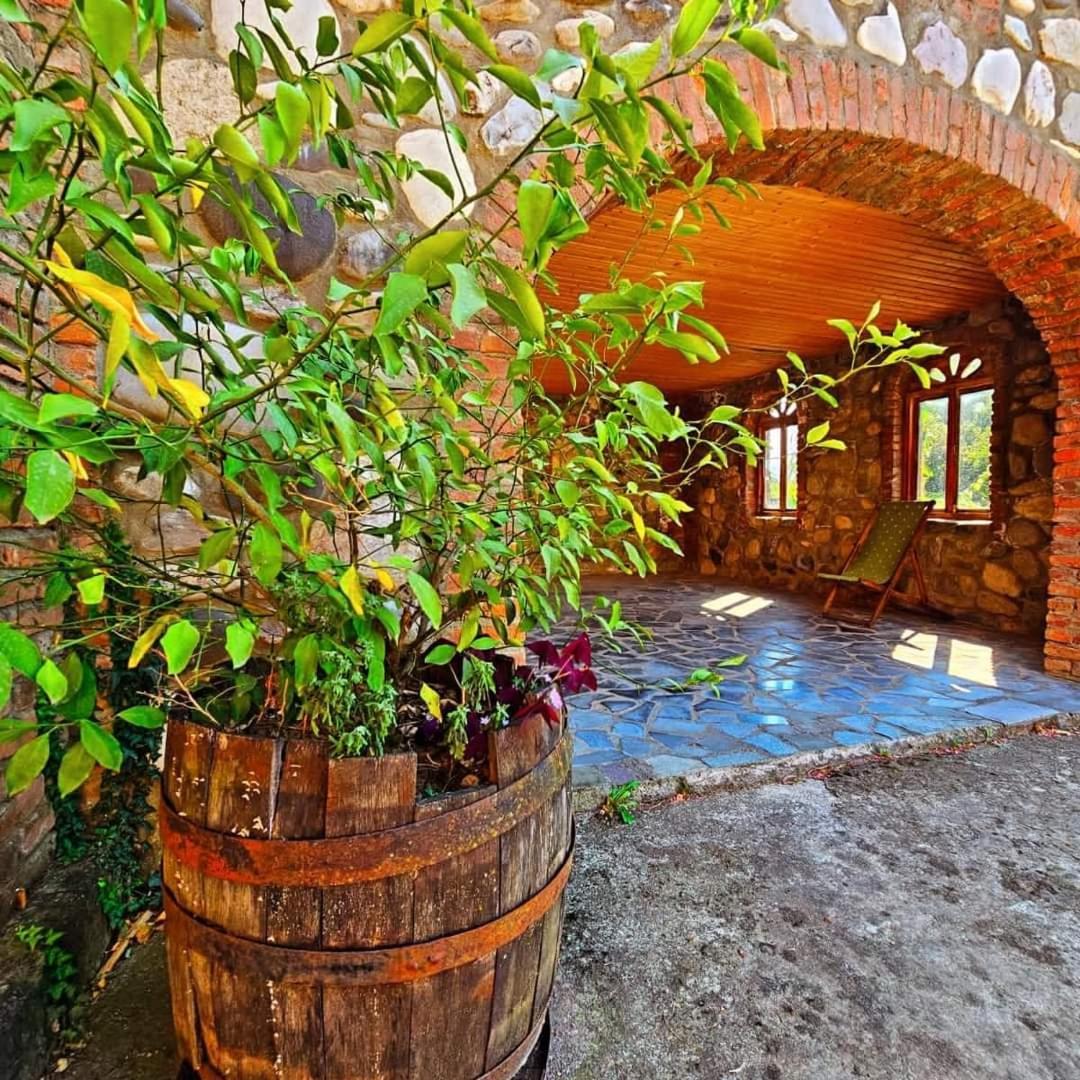 Blue Guest House Samtredia Extérieur photo