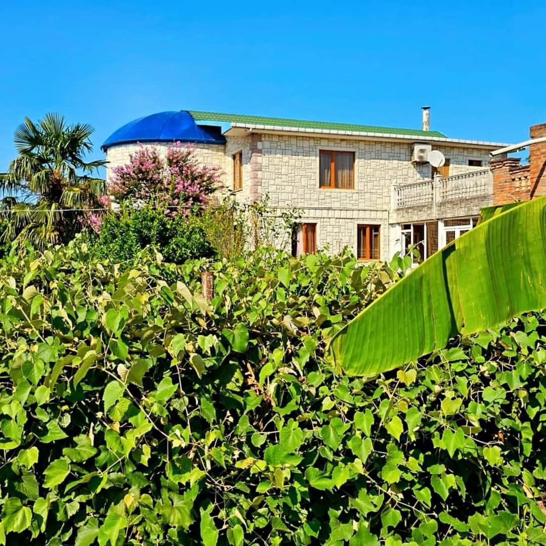 Blue Guest House Samtredia Extérieur photo